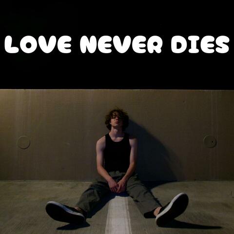 LOVE NEVER DIES