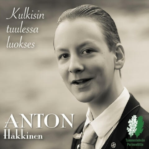 Kulkisin tuulessa luokses