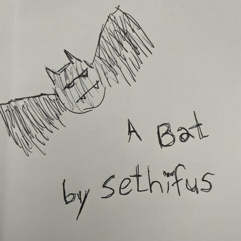 A Bat