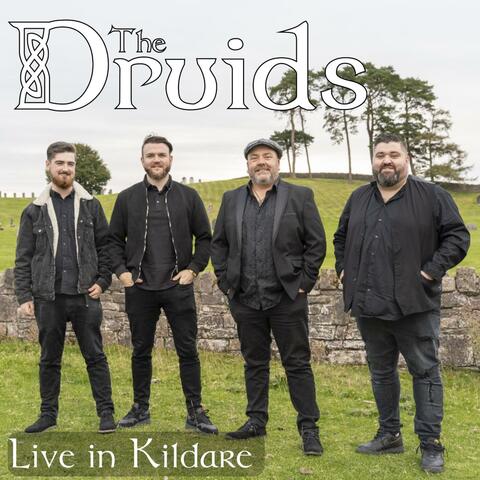 The Druids Live in Kildare
