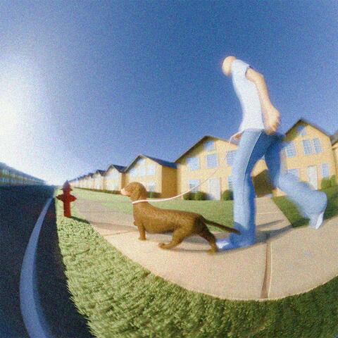 Like a Dog