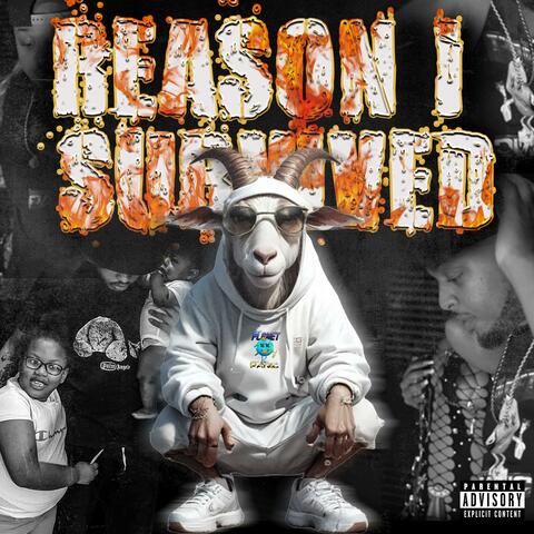 REASON I SURVIVED