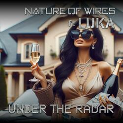 Under the Radar (feat. Luka)
