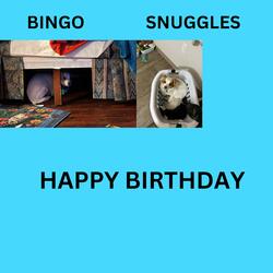 Happy Birthday to You #2 (Bingo and Snuggles Version )