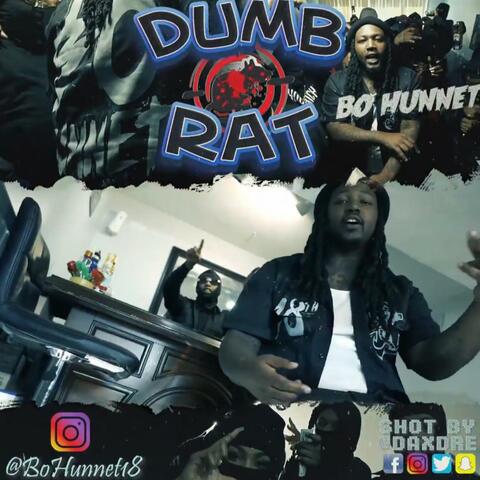 Dumb Rat