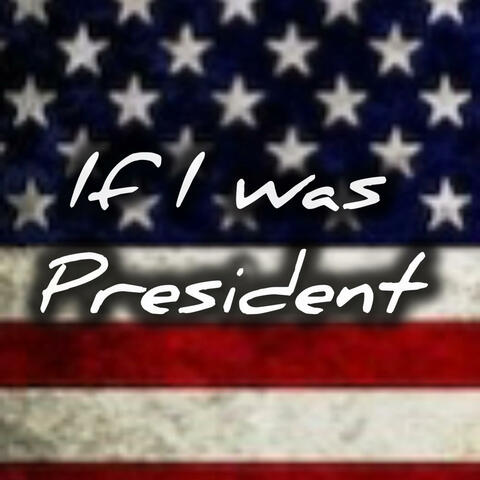 If I Was President