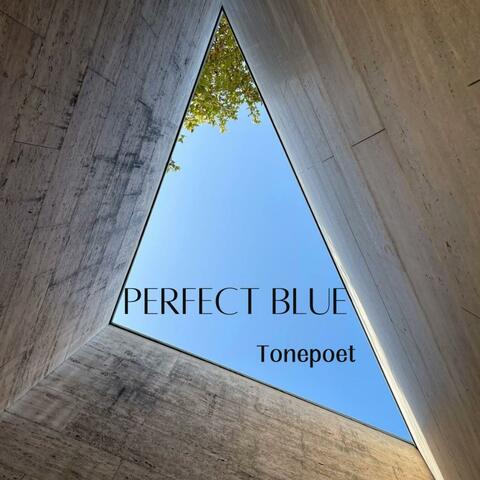 Perfect Blue