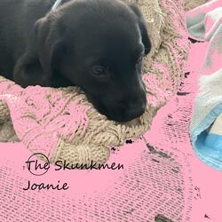 Hello To The Sell Out