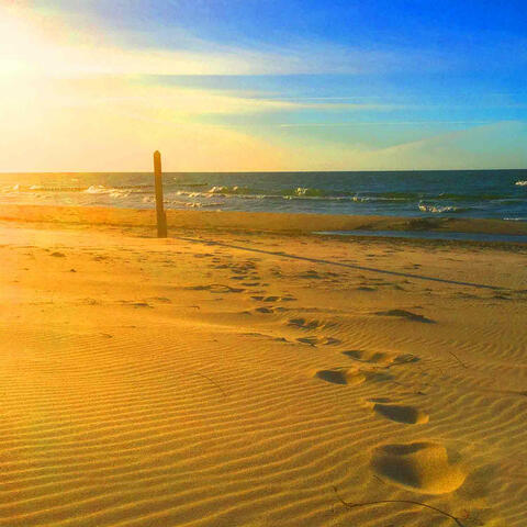 Beach Walk (Sounds)