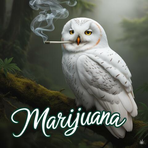 Marijuana