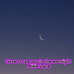 I Love to see you in the moonlight