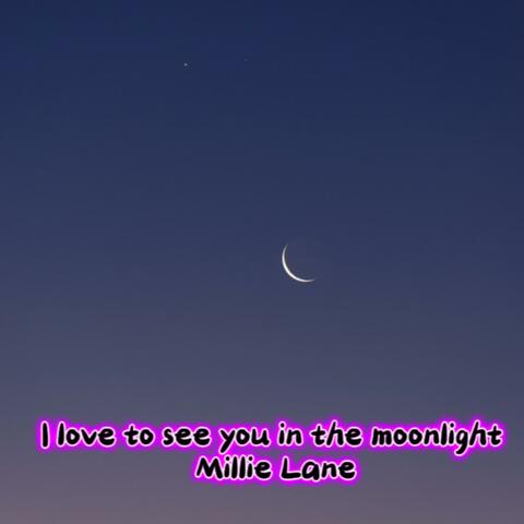 I Love to see you in the moonlight