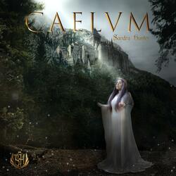 CAELVM