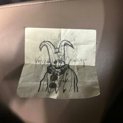 suixcide (extended version )