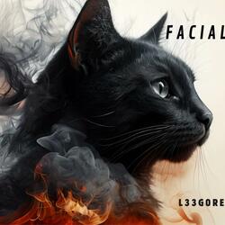 Facil