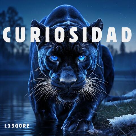 Curiosidad