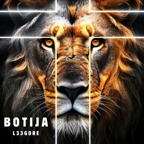 Botija