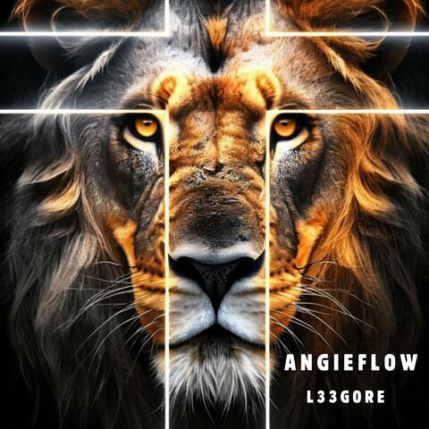 Angie flow