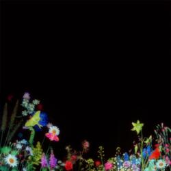 私は周りの人々の影だけど、いつか私自身の物語の主人公になるの?