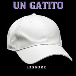 un gatito