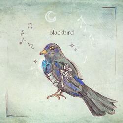 Blackbird