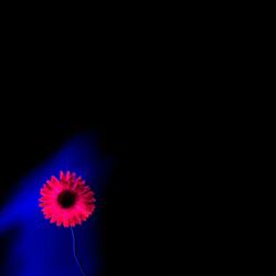 When It Hits Me (Live)