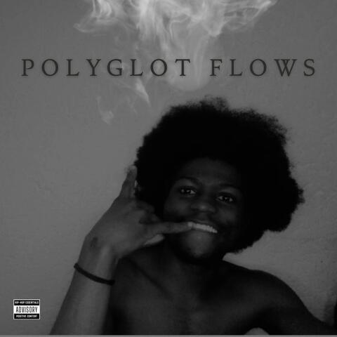 POLYGLOT FLOWS