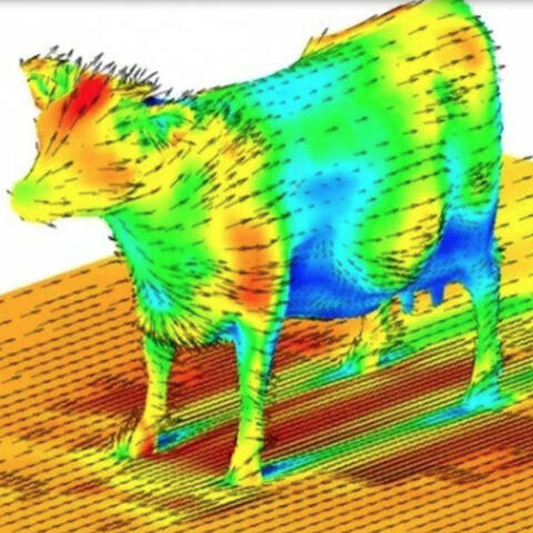 dynamics of a bovine (feat. grantis may)