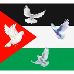 Dreams of Palestine (Radio Edit)
