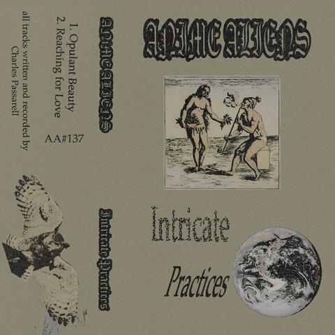 Intricate Practices