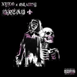DREAD (feat. ibrandy)