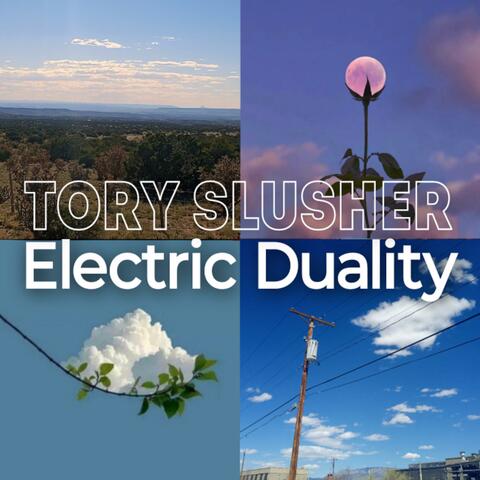 Electric Duality