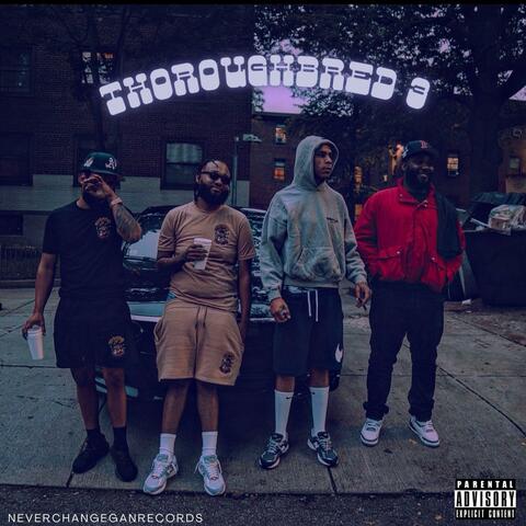 Thoroughbred 3