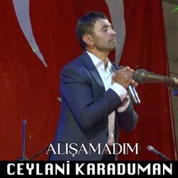 Alışamadım