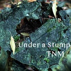 Under a Stump