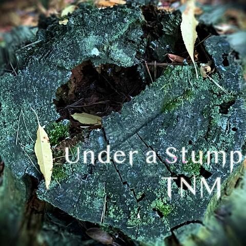 Under a Stump