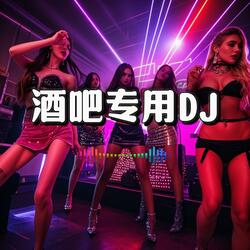 酒吧专用舞曲（DJ）