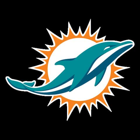Miami Dolphin