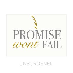 Promise Wont Fail