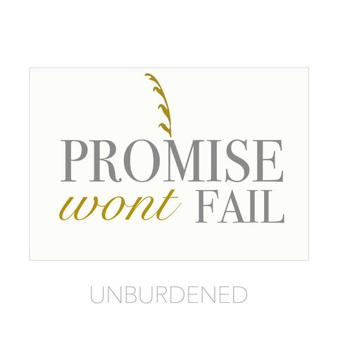 Promise Wont Fail