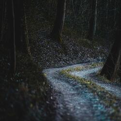 Whispers in the Dark  (Soft Punk Goth)