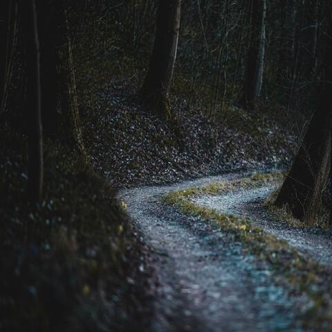Whispers in the Dark  (Soft Punk Goth)