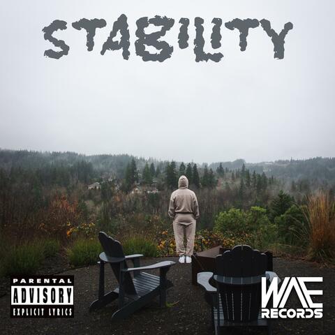 Stability