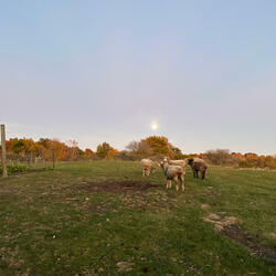 Perfect Serum (feat. Kalu II)