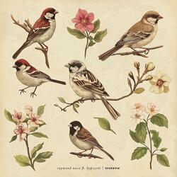 Sparrow (feat. kypizont)