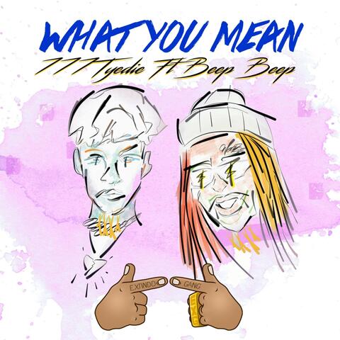 What You Mean