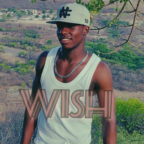 My wish