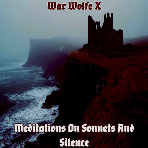 Meditations On Sonnets And Silence