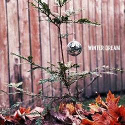Winter Dream