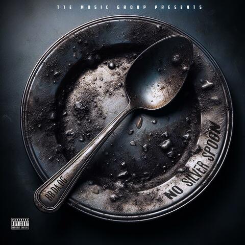 NO SILVER SPOON